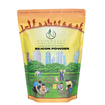 Silicon Powder