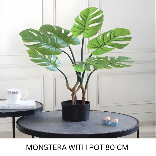MONSTERA WITH POT 80 CM - Plant Arti With Pot