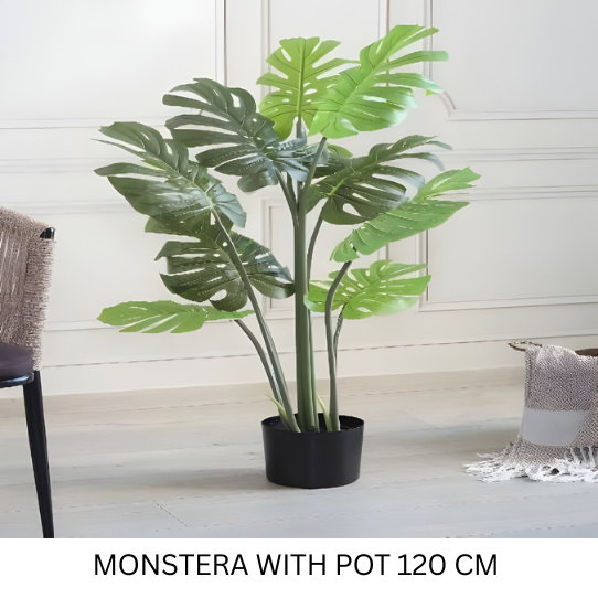 MONSTERA WP 120 CM