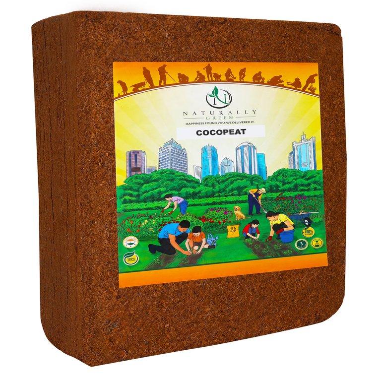 Coco Block