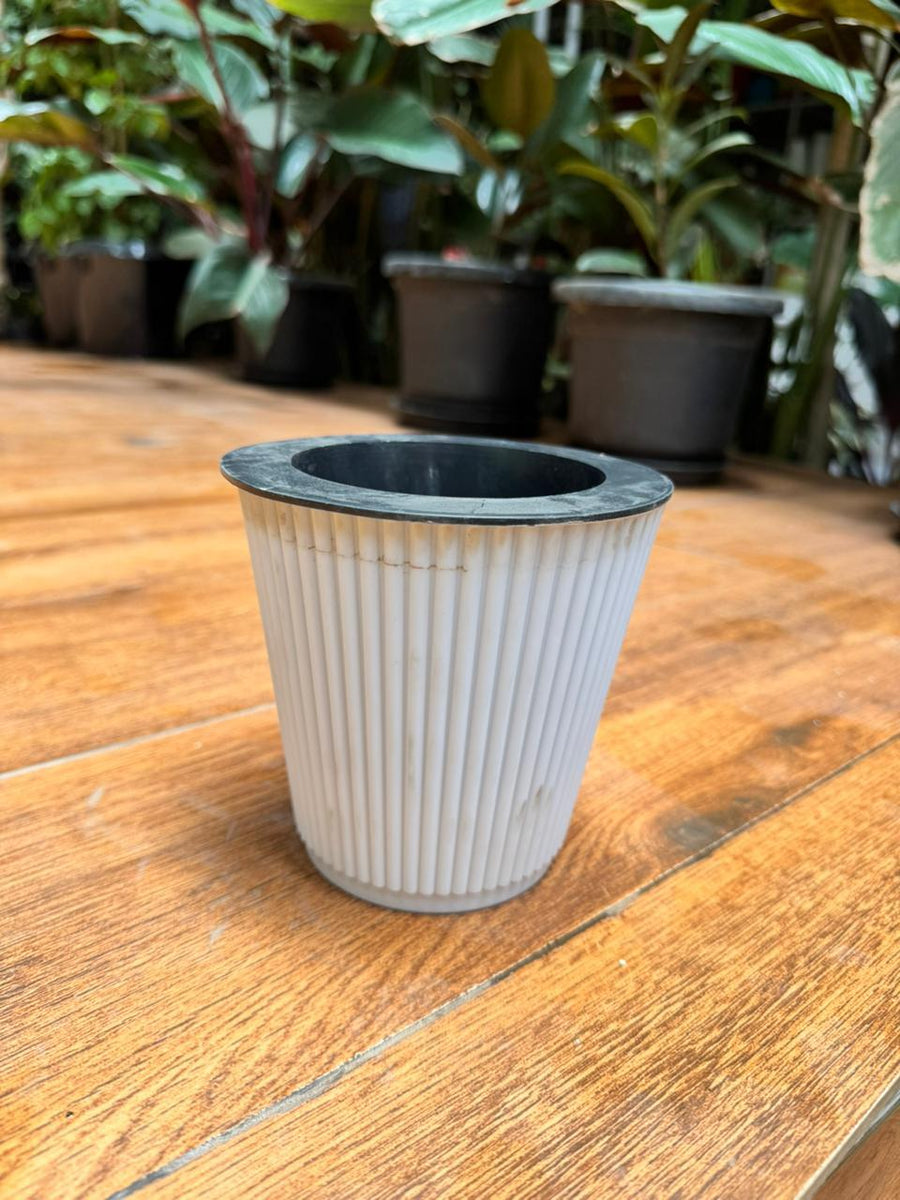 Kie pot