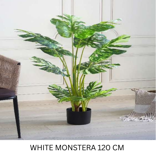 AP 120 CM REAL TOUCH WHITE MONSTERA 8817/12950