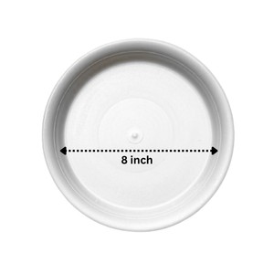 Round Plate