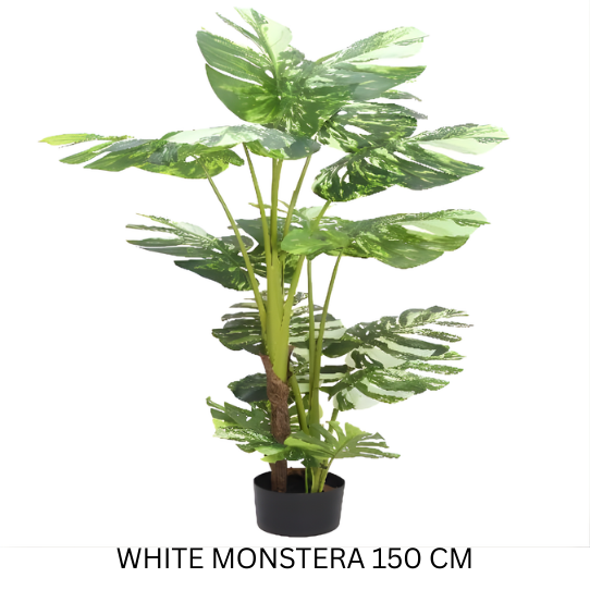 REAL TOUCH WHITE MONSTERA 150 CM