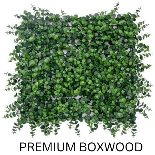 PREMIUM BOXWOOD 50CMX50CM