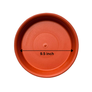 Round Plate