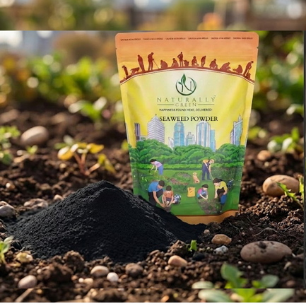 Seaweed Powder