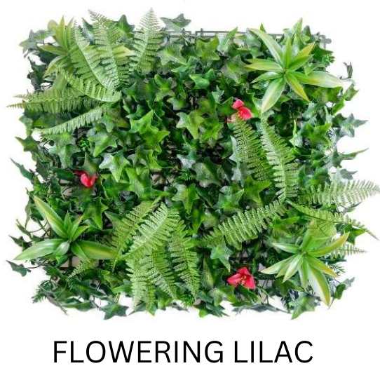 FLOWERING LILAC 50CMX50CM