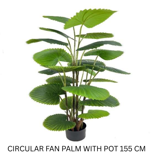 REAL TOUCH CIRCULAR FAN PALM WITH POT 155 CM