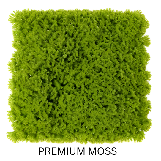 PREMIUM MOSS 50CMX50CM