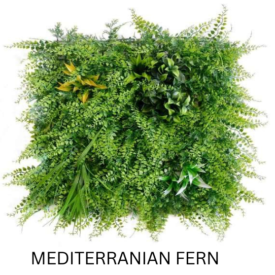 MEDITERRANIAN FERN 50CMX50CM