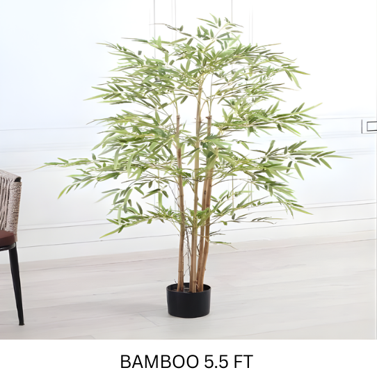 BAMBOO WITH POT 5.5 FT