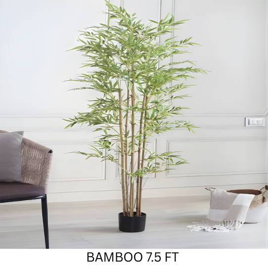 BAMBOO WITH POT 7.5 FT