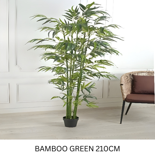 BAMBOO X5 GREEN 210 CM