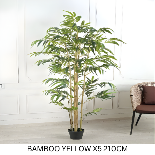 BAMBOO 210 CM