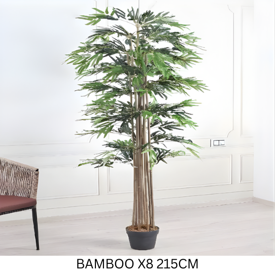 BAMBOO X 8 WITH POT 215 CM