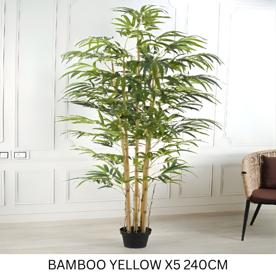 BAMBOO YELLOW 240 CM