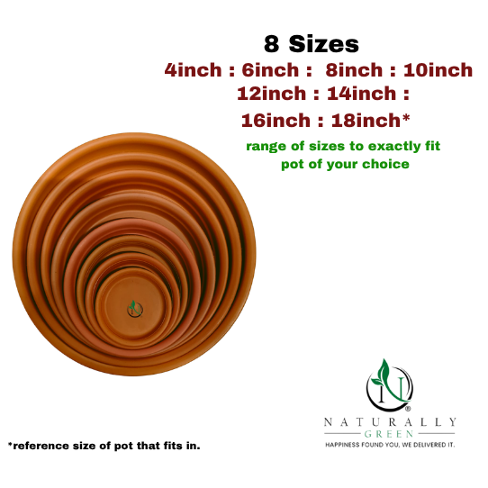 Round Plate