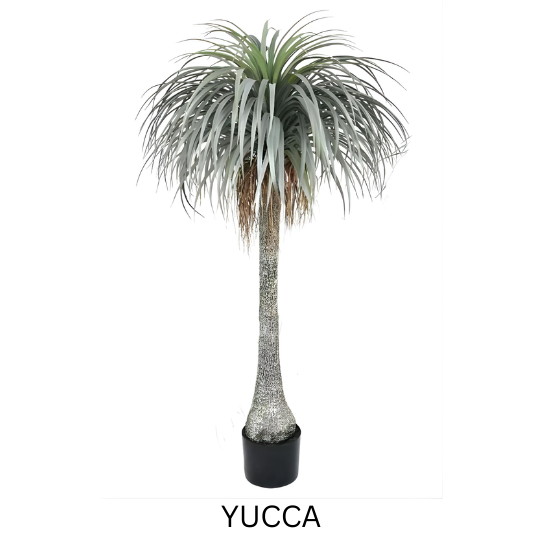 YUCCA WITH POT 180 CM