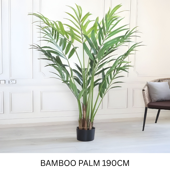 BAMBOO PALM WITH POT 190 CM