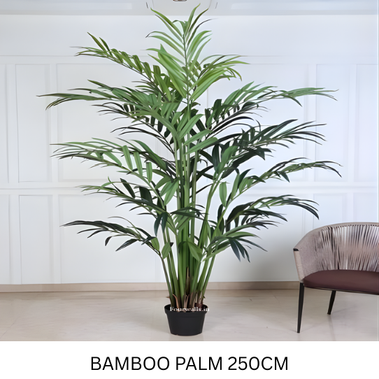 BAMBOO PALM WITH POT 250 CM