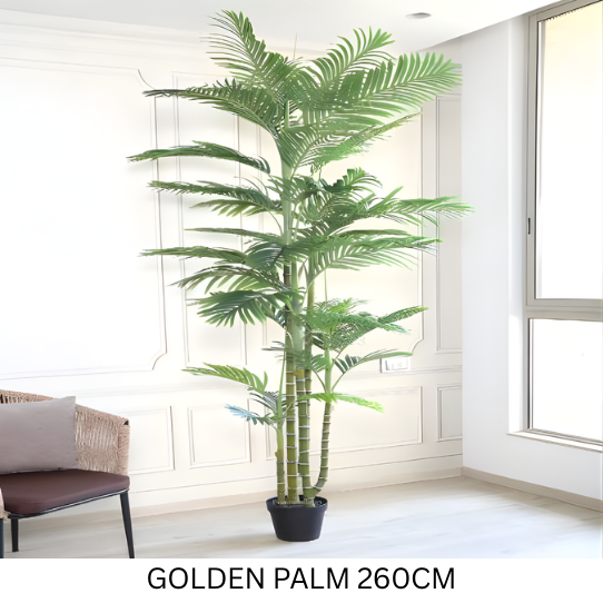 GOLDEN PALM X 5 WITH POT 260 CM