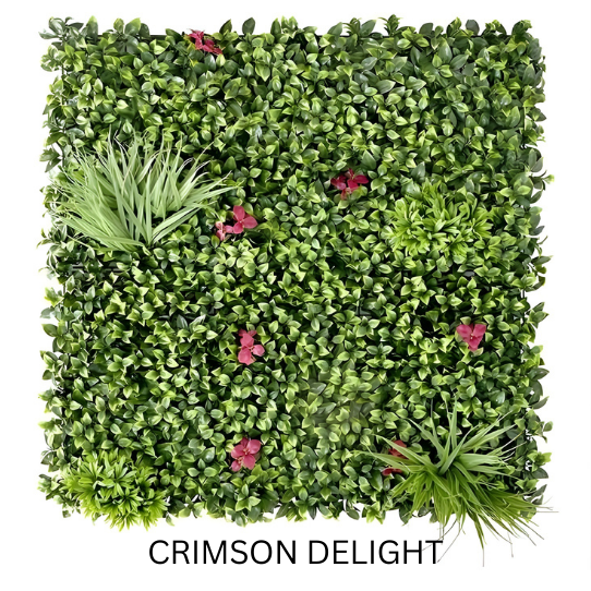 CRIMSON DELIGHT 1MTR X 1MTR