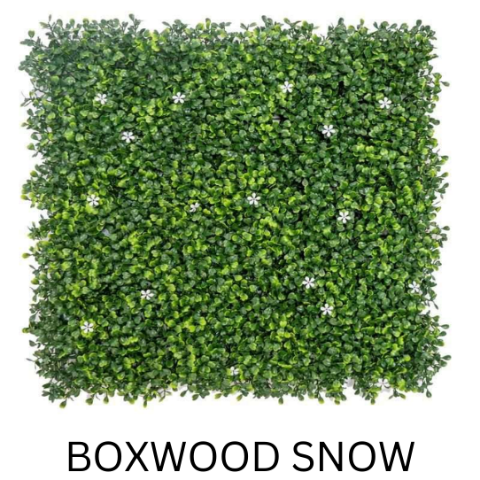BOXWOOD SNOW 50CMX50CM