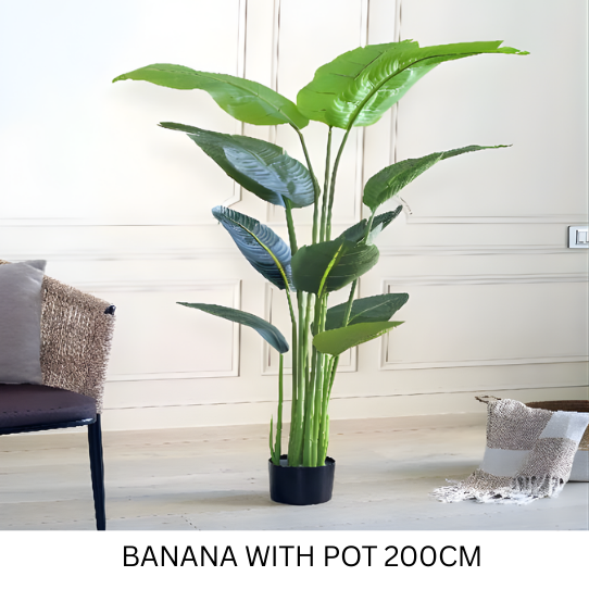 BANANA WITH POT 200 CM