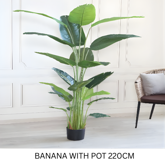 BANANA WITH POT 220 CM