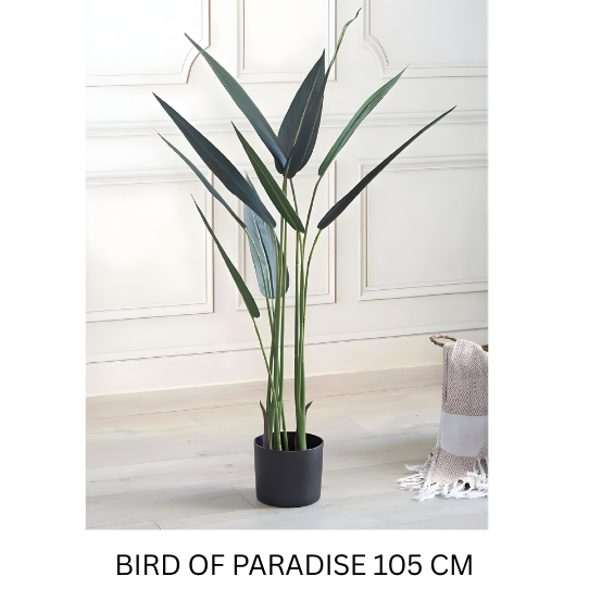 BOP 105 CM