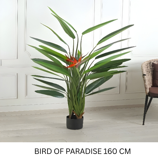 REAL TOUCH STRELITZIA 160 CM