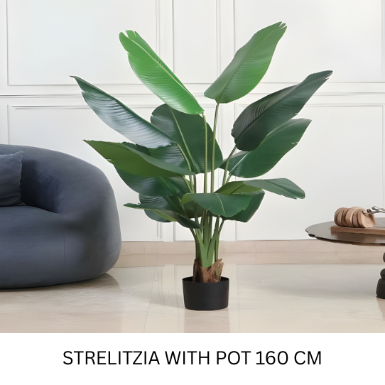 REAL TOUCH STRELITZIA WITH POT 160 CM