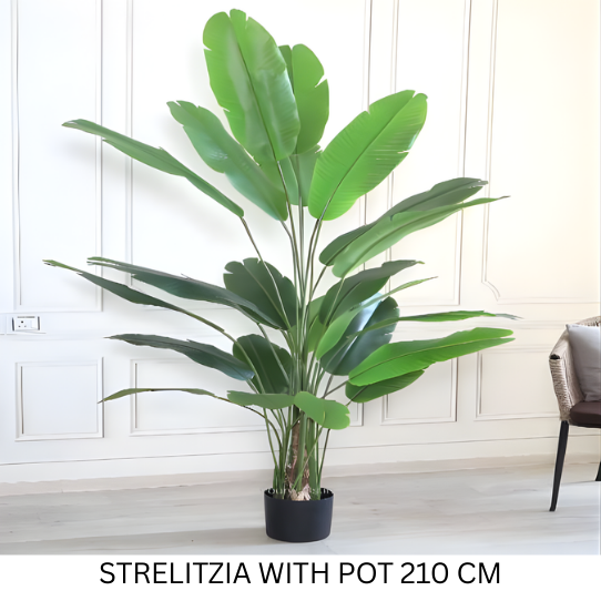 REAL TOUCH STRLITZLA WITH POT 210 CM