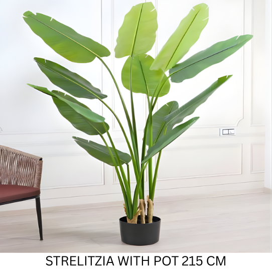 STRLITZLA WITH POT 215 CM