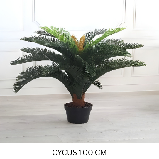 CYCUS WITH POT 100 CM