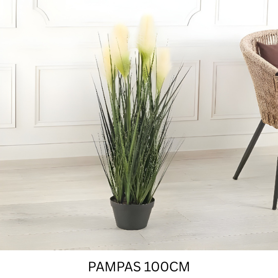 PAMPAS X 5 WITH POT 100 CM