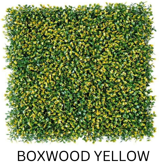 BOXWOOD YELLOW 50CMX50CM