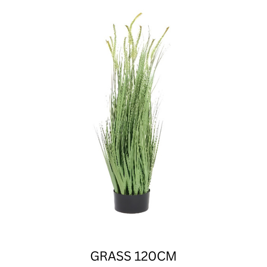 AP 120 CM GRASS H16145/1318A/12725