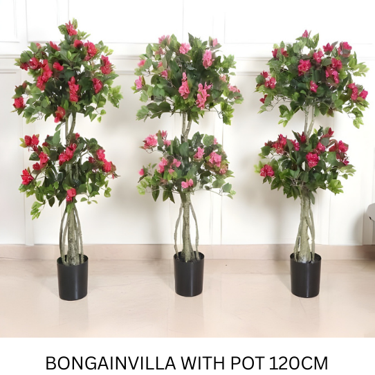 BONGAINVILLA 120 CM