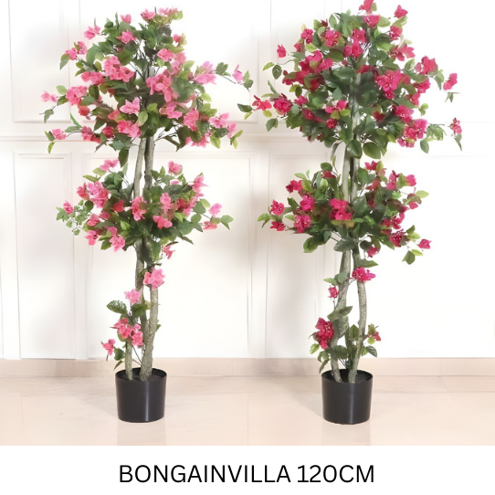 BONGAINVILLA 120 CM
