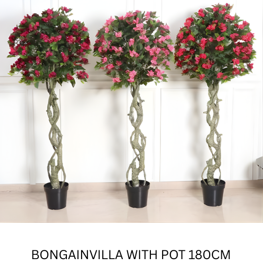 BONGAINVILLA 180 CM