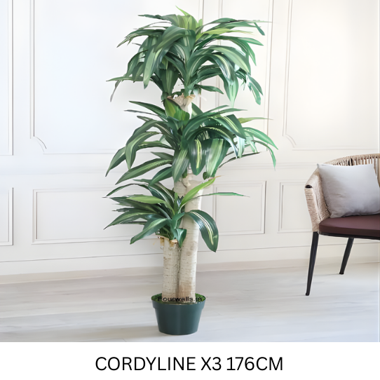 CORDYLINEX3 GREEN 176 CM