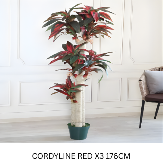 CORDYLINEX3 GREEN/RED 176 CM