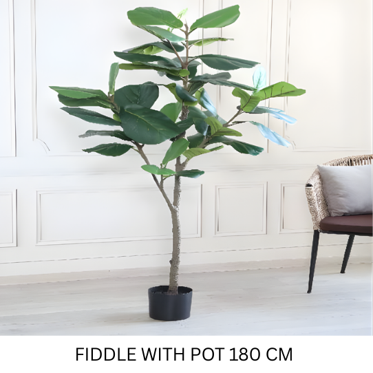 FIDDLE WITH POT 180 CM