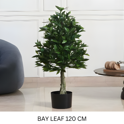 BAY TREE 120 CM