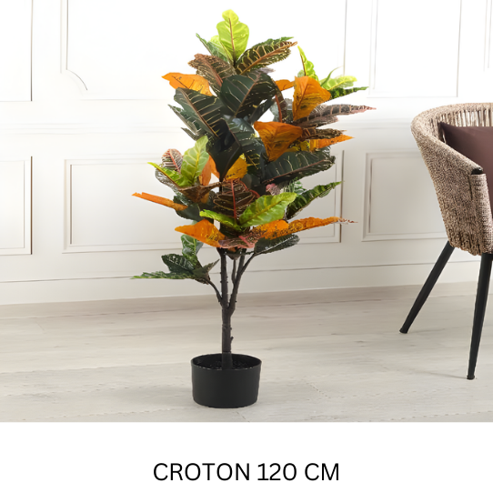 CROTON WITH POT 120 CM