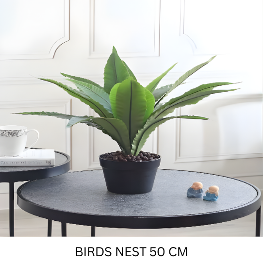 BIRD NEST WITH POT 50 CM