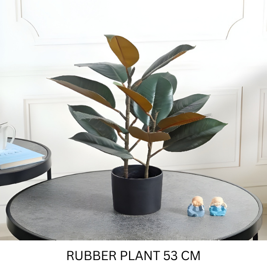 RUBBER WITH POT 53 CM