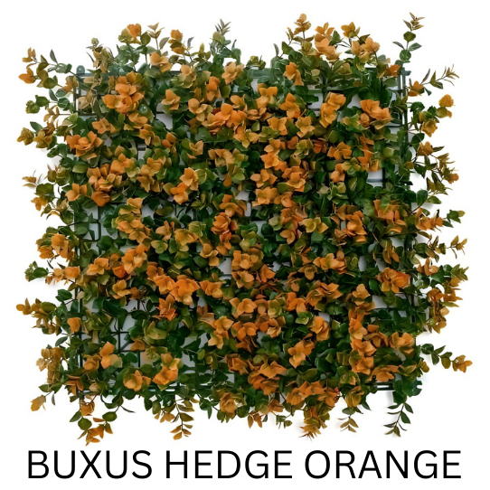 BUXUS HEDGE ORANGE 50CMX50CM